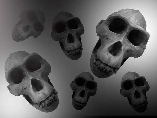 Abstracte achtergrond met schedels in Haze. - Foto, afbeelding