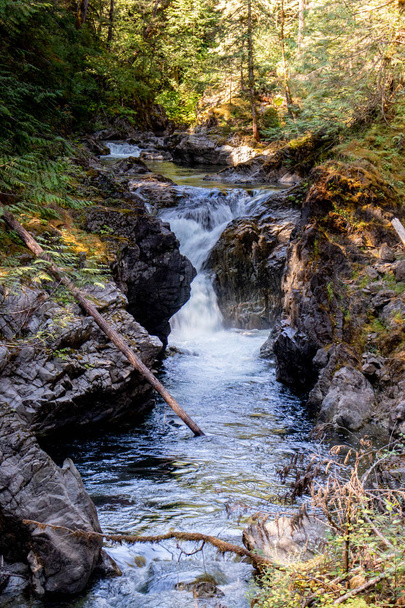 Water coming down the rocks - Englishman river falls, Vancouver Island, BC - Photo, Image