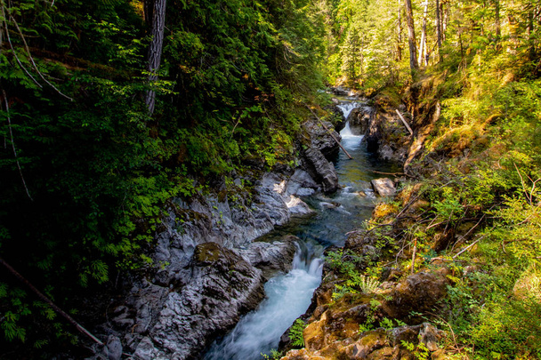 Dzika rzeka przez las-rzeka Angman Falls, Wyspa Vancouver, BC - Zdjęcie, obraz