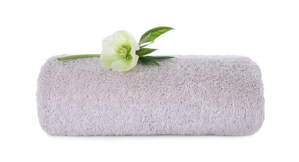 Ręcznik i świeży kwiat na białym tle. Zabiegi spa - Zdjęcie, obraz