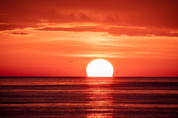 Beautiful red and orange sunset over the sea. The sun goes down over the sea. Two seagulls are flying against the sunset. - Foto, imagen