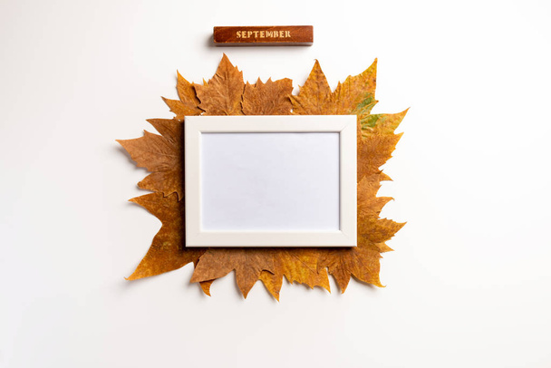 Photo frame, dried leaves on white background. Autumn, fall, concept. Golden autumn. Flat lay. - Zdjęcie, obraz