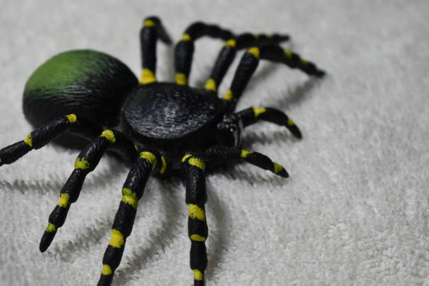 Černá, žlutá a zelená hračka pro tarantulu na povrchu bílého hadříku. - Fotografie, Obrázek