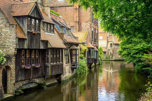 Huis op het water en een drijvende zwaan in Brugge, België - Foto, afbeelding