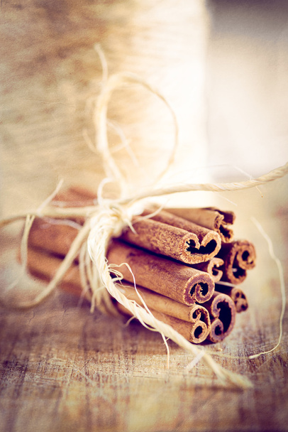 Vintage christmas cinnamon sticks - Photo, Image