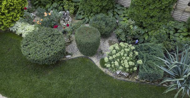 grüner Wacholderstrauch in Zylinderform geschnitten, Verwendung im Gartenbau - Foto, Bild