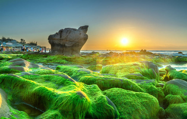 Extrañas piedras cubiertas de musgo y algas da la bienvenida al amanecer hermoso día nuevo - Foto, imagen