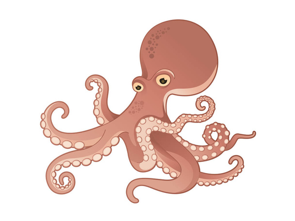 Иллюстрация талисмана карикатуры осьминога
 - Вектор,изображение