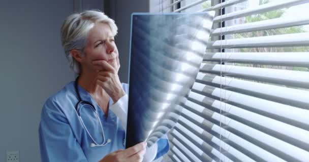 Μπροστινή όψη της ώριμης λευκής γυναίκας γιατρού που κοιτάει την έκθεση ακτίνων χ στο νοσοκομείο. Στέκεται κοντά στο παράθυρο, βίντεο - Πλάνα, βίντεο