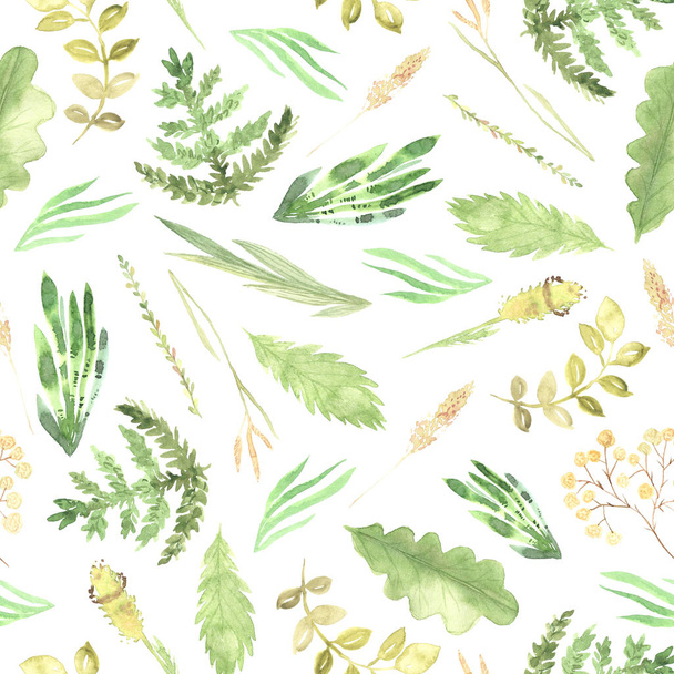 Watercolor green leaves and plants seamless pattern - Фото, изображение