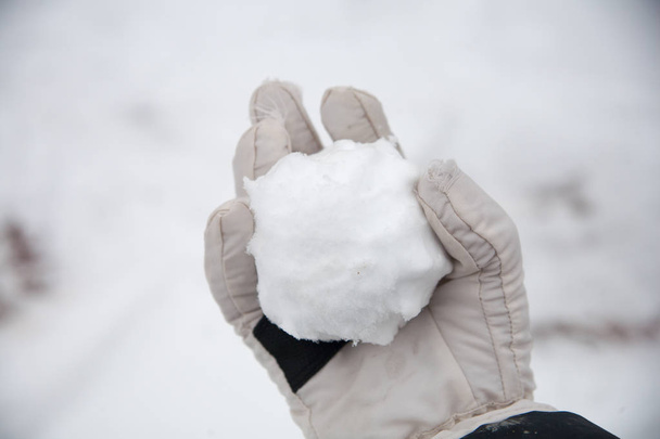bolas de nieve reales con las manos apretadas de la nieve fresca en invierno en la calle
 - Foto, imagen