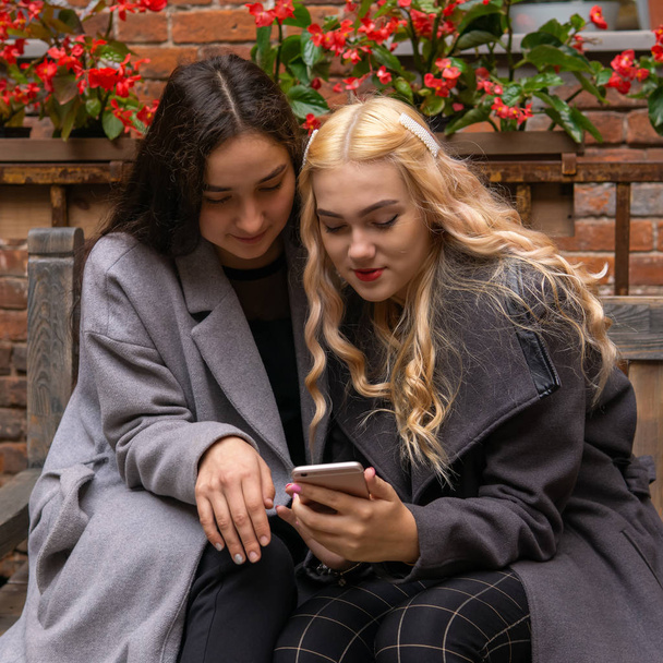 due amiche discutendo qualcosa mentre si guarda in uno smartp
 - Foto, immagini