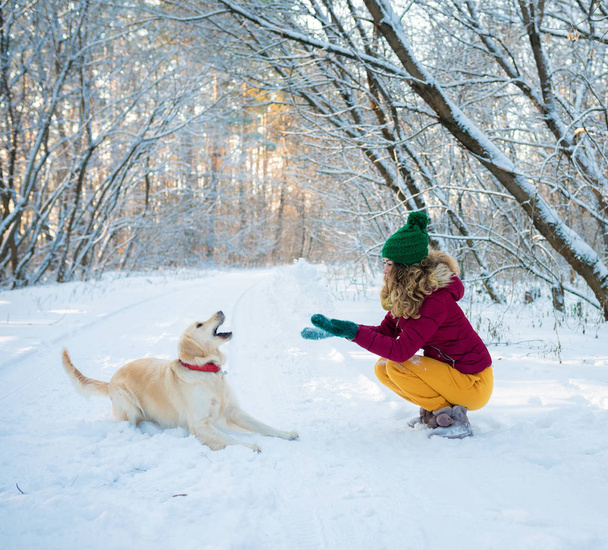Mladá krásná žena, co hraje ve sněhu zlatý extraktor - Fotografie, Obrázek