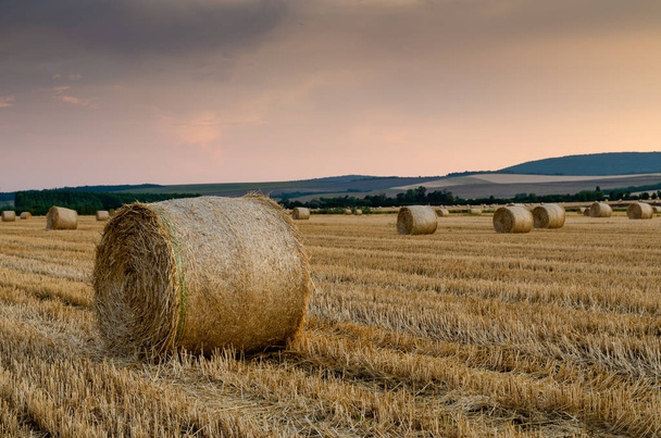 hay bales background scenic view  - Photo, Image