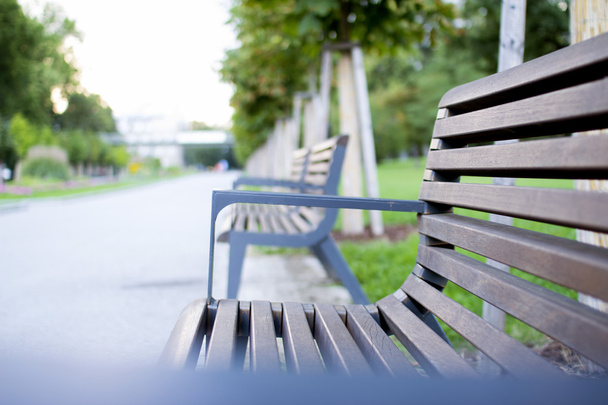 Скамейки в зеленом городском парке
. - Фото, изображение
