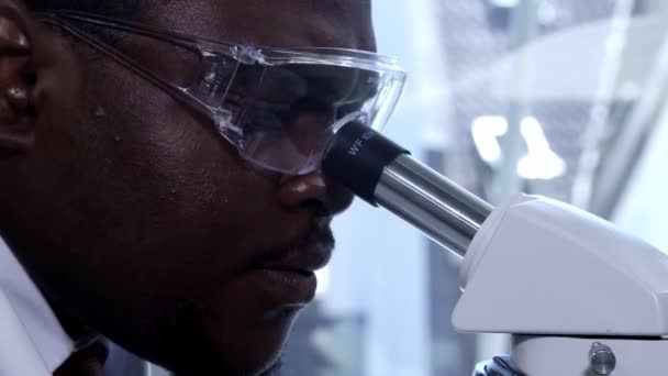 African-american scientist working in lab. Male doctor making microbiology research. Biotechnology, chemistry, bacteriology, virology, dna and health care. - Video