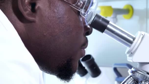 Афроамериканський науковець працює в лабораторії. Чоловічий лікар проводить дослідження мікробіології. Біотехнологія, хімія, бактеріологія, вірологія, дна і охорона здоров'я. - Кадри, відео