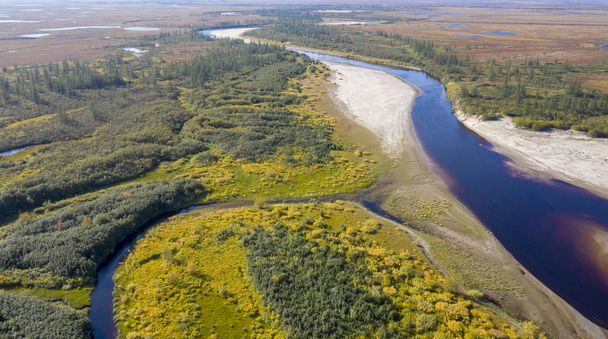 Orman-tundra manzarası ve kumlu nehir kıyısı, kuş bakışı. Kuzey Kutup Dairesi, Tunda. Helikopterden güzel tundra manzarası. - Fotoğraf, Görsel