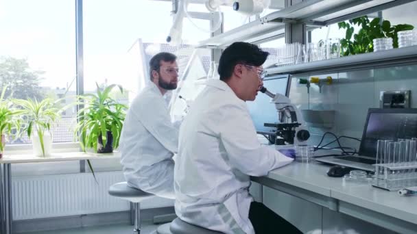 Wetenschapper en zijn assistent werken in het lab. Docent die stage loopt om onderzoek te analyseren. Laboratoriumgereedschap: microscoop, reageerbuizen, apparatuur. - Video
