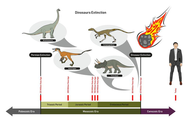 Dinosaurs Extinction infographic diagram showing paleozoic mesozoic cenozoic eras and dinosaurs periods including triassic jurassic cretaceous million years ago for geology science education - Vector, Image