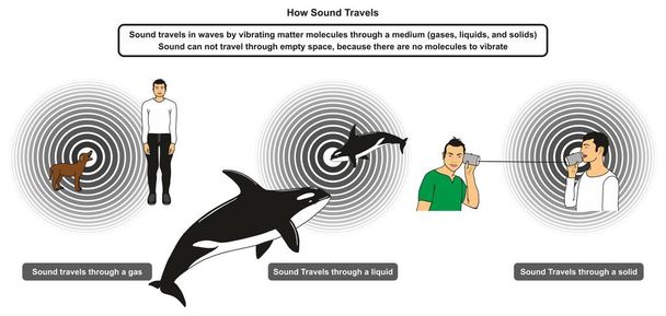 Nasıl Ses Seyahatler bilgi grafiği diyagramı mekanik dalgalar fizik bilim eğitimi için gaz sıvı ve katı dahil olmak üzere farklı ortamlarda seyahat gösteren - Vektör, Görsel