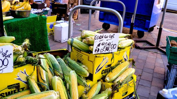 Comerciante de mercado que vende maíz en la mazorca o maíz dulce
 - Foto, Imagen