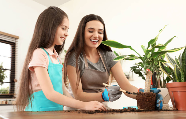 Mother and daughter taking care of plant at home - Foto, Imagen
