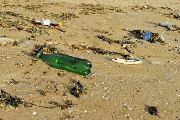 Modern insan tatil davranışı açık doğa sentetik çöp yeşil şişe - Fotoğraf, Görsel