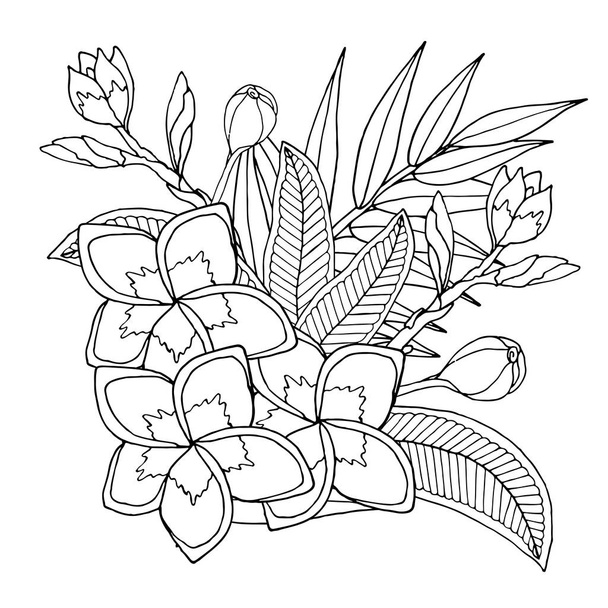 Plumerie or frangipany exotic flower isolated on white - Vetor, Imagem