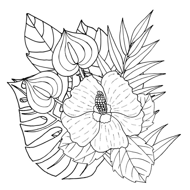 Vektori Hibiscus kukka linja taidetta valkoinen
 - Vektori, kuva