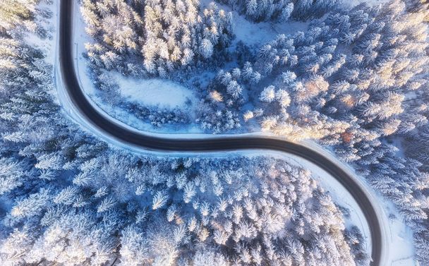 Kış aylarında yol ve orman havadan görünümü. İnsansız hava aracından doğal kış manzarası. Kış - görüntü - Fotoğraf, Görsel