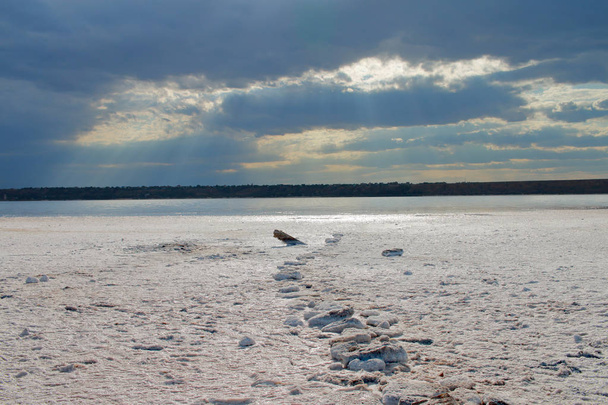 Νεκρές ακτές των εκβολών καλυμμένες με αλάτι. - Φωτογραφία, εικόνα