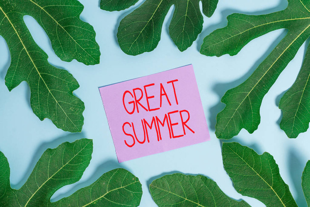 Tekst pisma Great Summer. Koncepcja oznaczająca zabawę Good Sunshine Idąc na plażę Ciesząc się świeżym powietrzu. - Zdjęcie, obraz