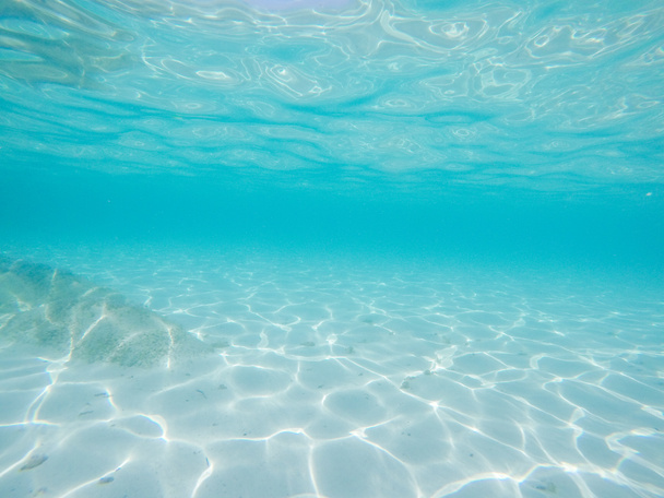 Escena submarina de mar azul tropical
 - Foto, imagen