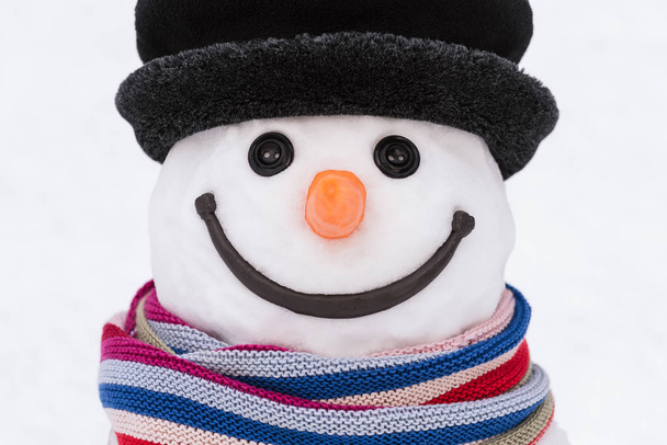 Portrait d'un bonhomme de neige dans un chapeau
 - Photo, image
