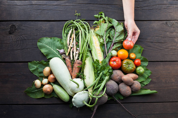 Good health diet food, abundance autumn vegetables. - Photo, Image