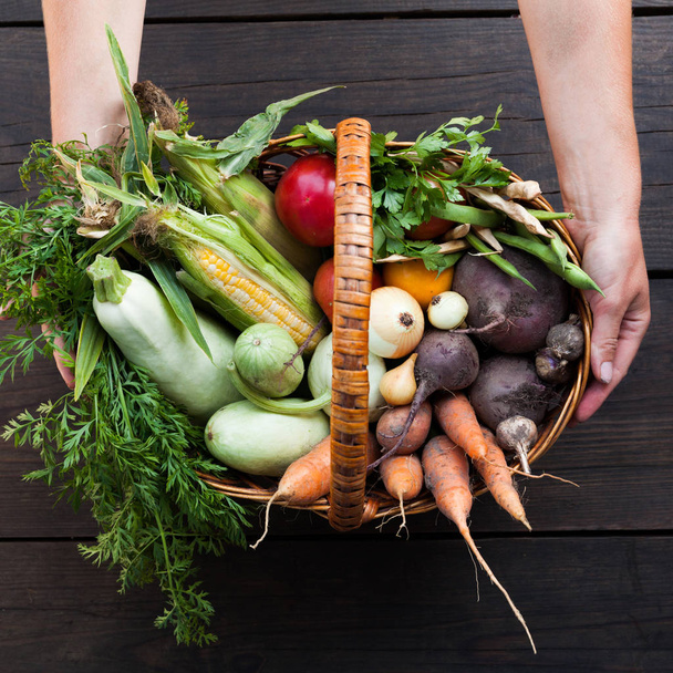Vegetarian food, organic healthy meal. Cuisine diet. - Photo, Image