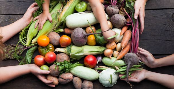 Биологическое здоровое питание. Органические овощи в руках человека на лесу
 - Фото, изображение