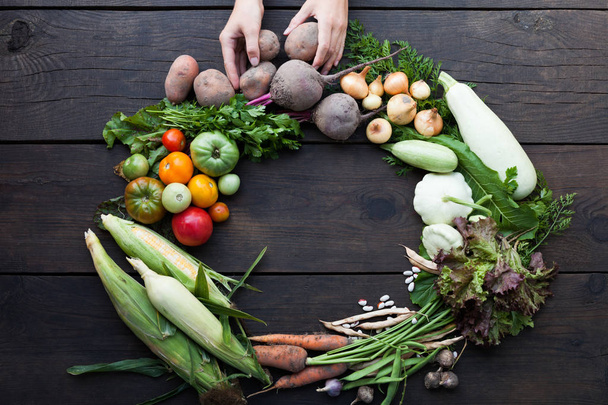 Různé druhy čerstvé organické zeleniny. Vyvážený Nu - Fotografie, Obrázek