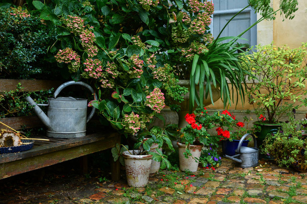 Zahrada ozdobená podzimním květinami, rostliny v hrncích - Fotografie, Obrázek