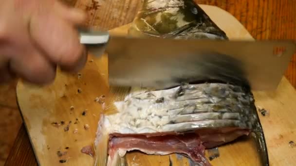 Domácí kuchyně. Řeka rybí kapr, se krájí na kousky, s kuchyňským nožem pro následné smažení, na řezací desce na kuchyňském stole. Detailní záběr. - Záběry, video