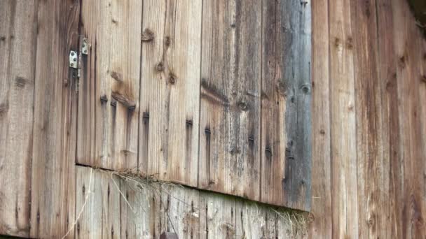 Wooden hay barn close up. - Πλάνα, βίντεο