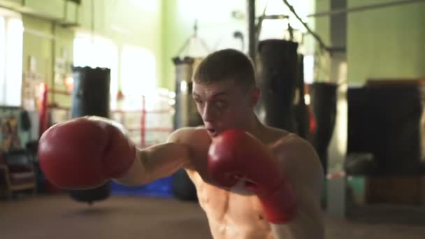 Gespierde man professionele Boxer vecht met BoKS doos, steady shot. Slow Motion - Video