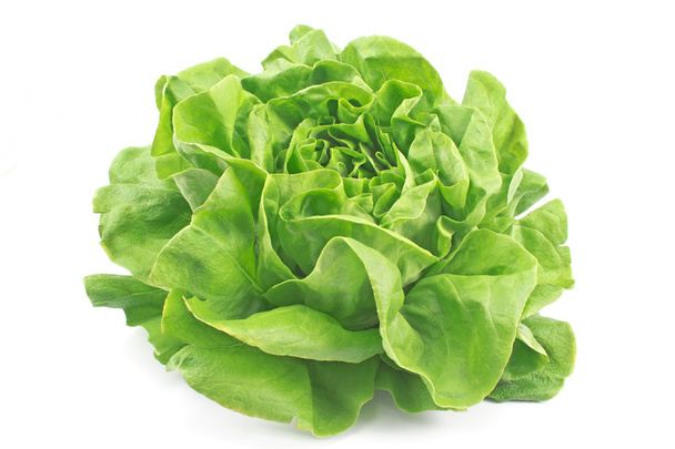 Fresh lettuce isolated on white - Photo, Image
