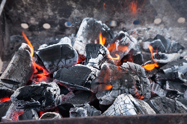 Decaying coals for cooking - 写真・画像