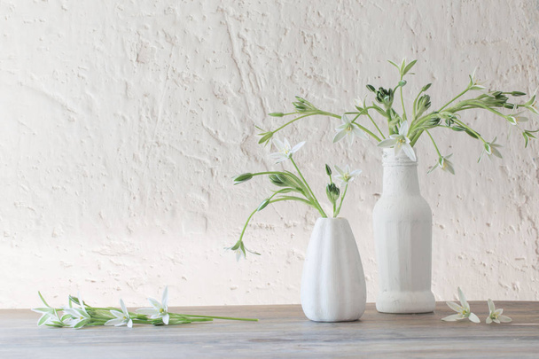 white flowers in vase on background old white wall - Foto, imagen