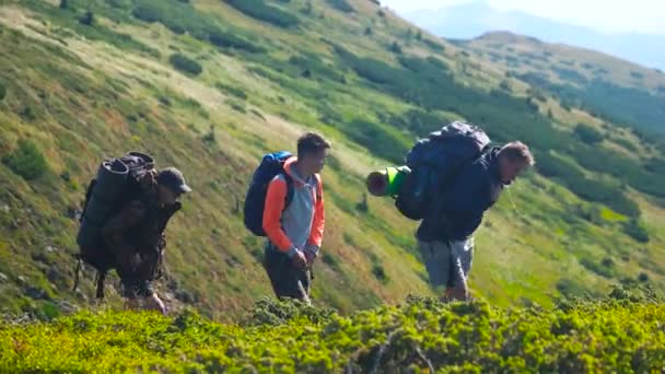 Drie mannelijke wandelliefhebbers op een prachtige berg achtergrond. - Video