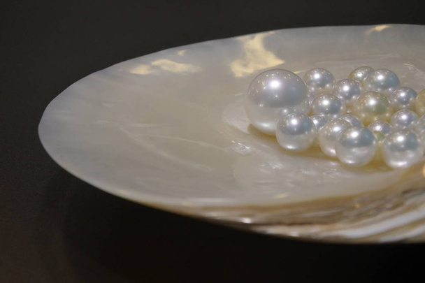 Bílé perly v krunýři Broome západní Austrálie - Fotografie, Obrázek