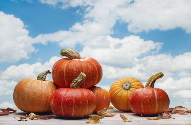 Yellow round pumpkins on old surface. Blue sky with clouds. October, Halloween. Copy space. - 写真・画像