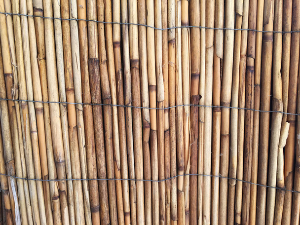 Забор природного сада. Стена тростниковых стеблей. На заднем плане тростника. Текстурные бамбуковые деревья. Увлажненная коричневая оттаивающая поверхность травяного покрова. Бамбуковый забор
 - Фото, изображение